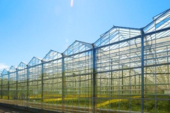 glass greenhouses