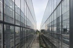 greenhouse glazing