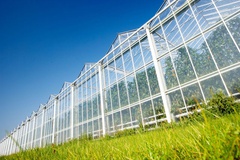 glass greenhouses