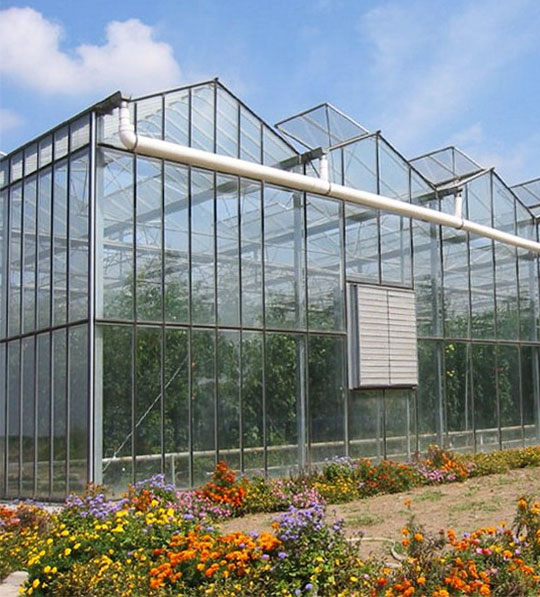glass greenhouses